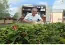 El Cbtis 135 de Matamoros tendrá su semana de evaluación diagnóstica para alumnos de nuevo ingreso